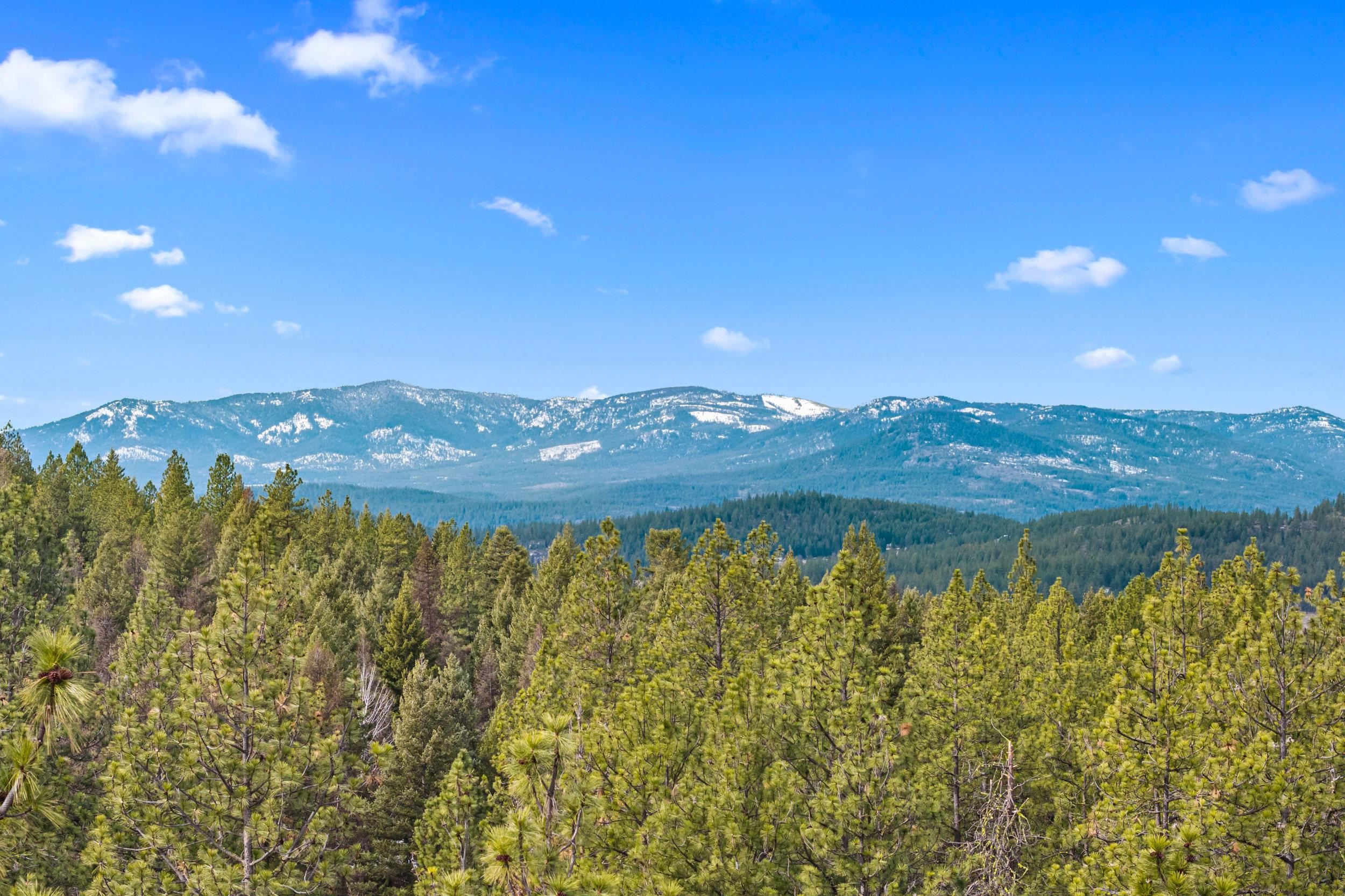 796 Mahoney Road Colville, WA 99114 - Photo 41 of 45