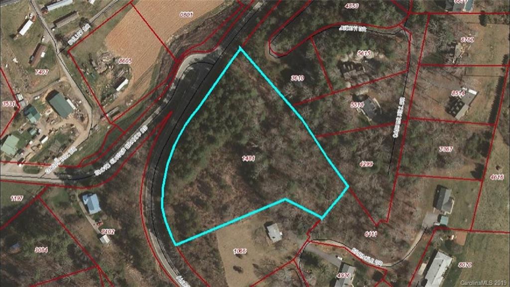 Tbd Tbd Alexander Road Leicester, NC 28748 - Photo 1 of 7