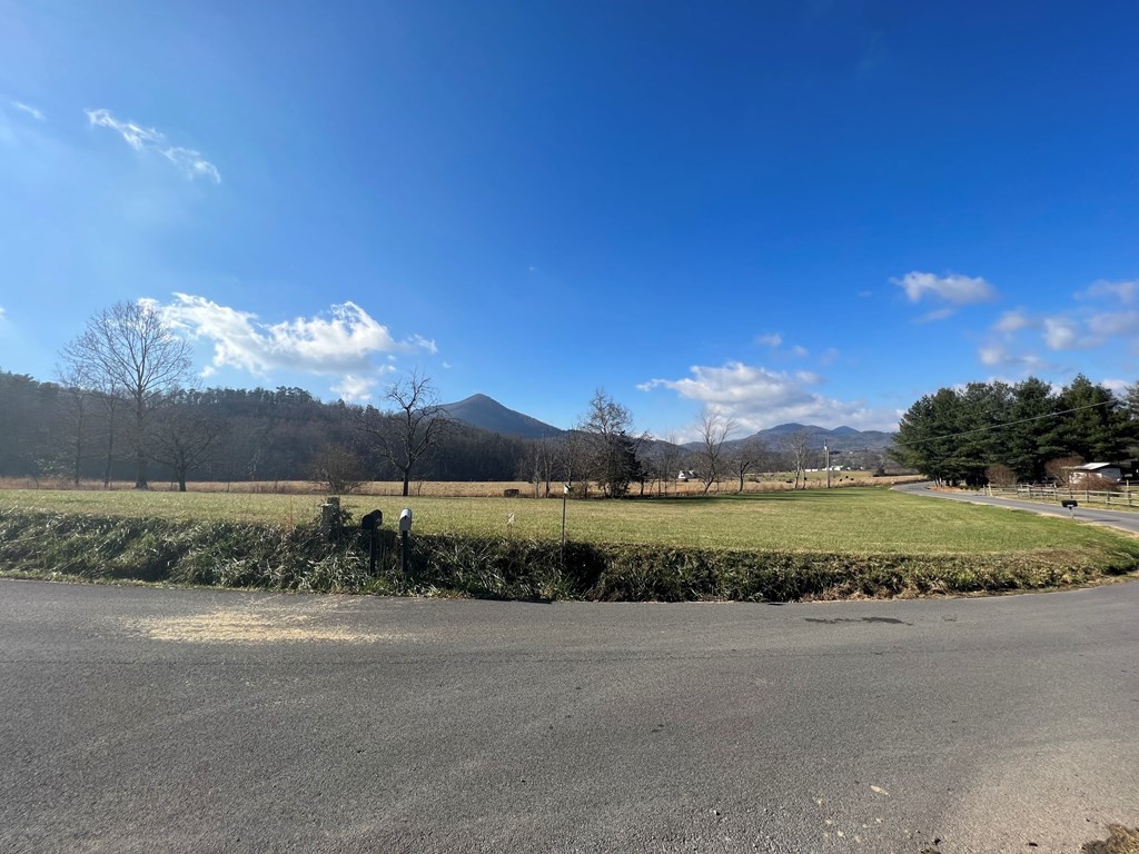 11 Katy Hollar Rd. Road Sevierville, TN 37862 - Photo 9 of 17
