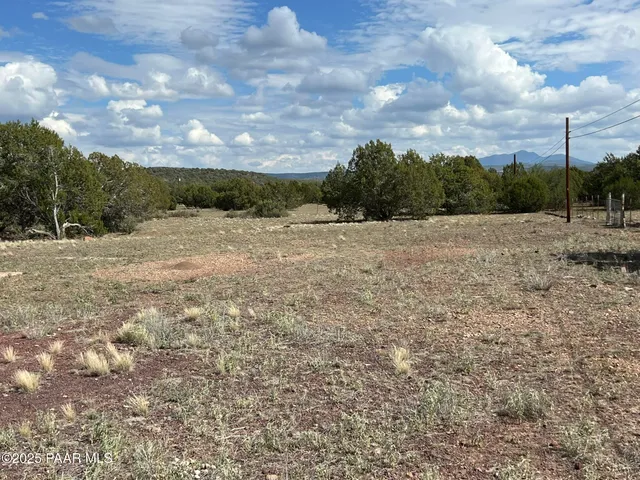 a view of a dry yard with wooden fence