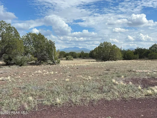 a view of a yard with an outdoor space