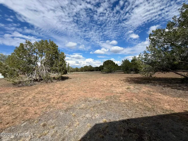 a view of backyard with green space