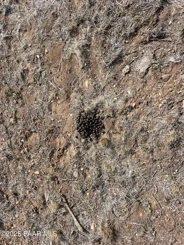 $172,500 | 46625 North Jackrabbit Circle, Ash Fork, AZ 86320