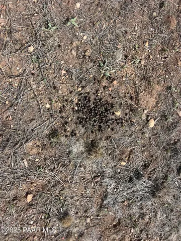 $172,500 | 46625 North Jackrabbit Circle, Ash Fork, AZ 86320