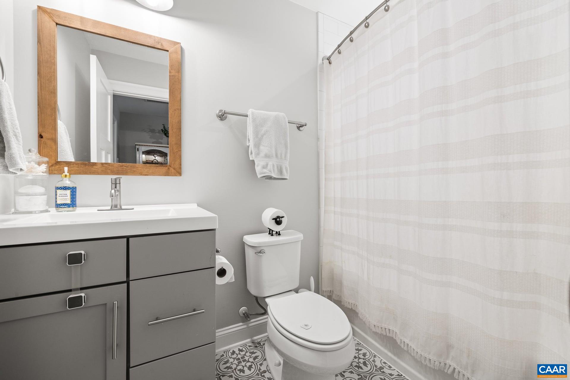 271 Two Rivers Drive Troy, VA 22974 - Photo 46 of 63 a bathroom with a sink mirror vanity and toilet