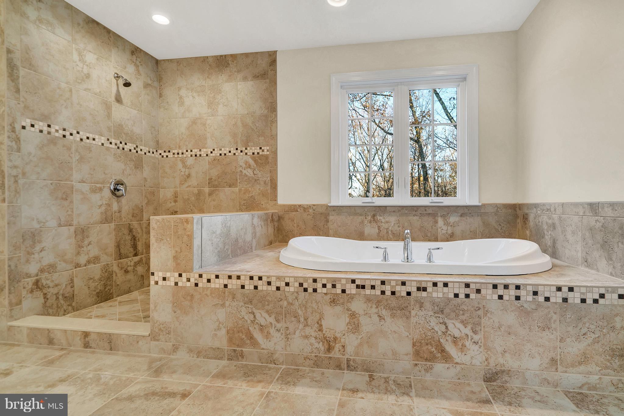10527 Bears Den Road Marshall, VA 20115 - Photo 20 of 30 Bath (Master)