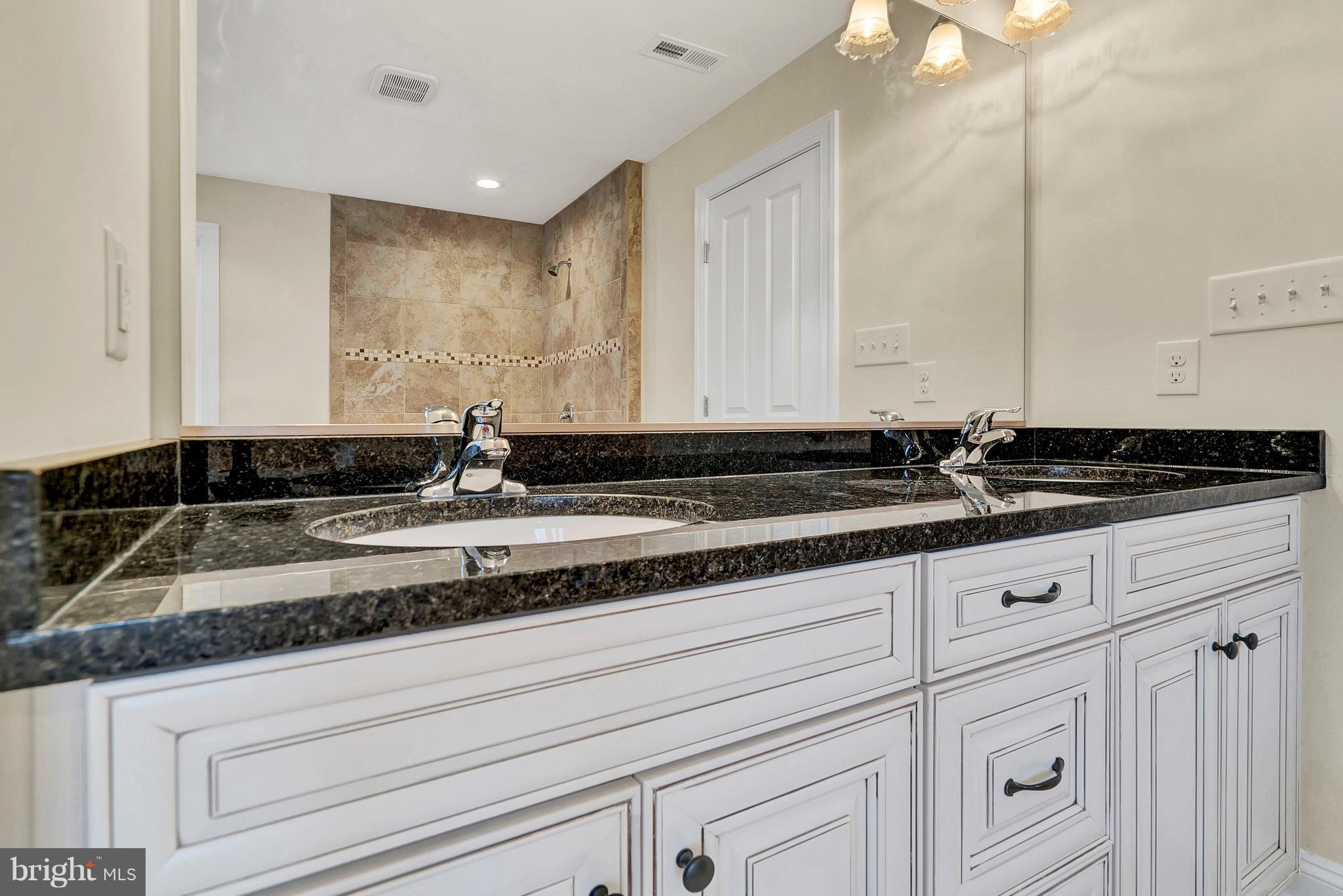 10527 Bears Den Road Marshall, VA 20115 - Photo 21 of 30 Bath (Master)