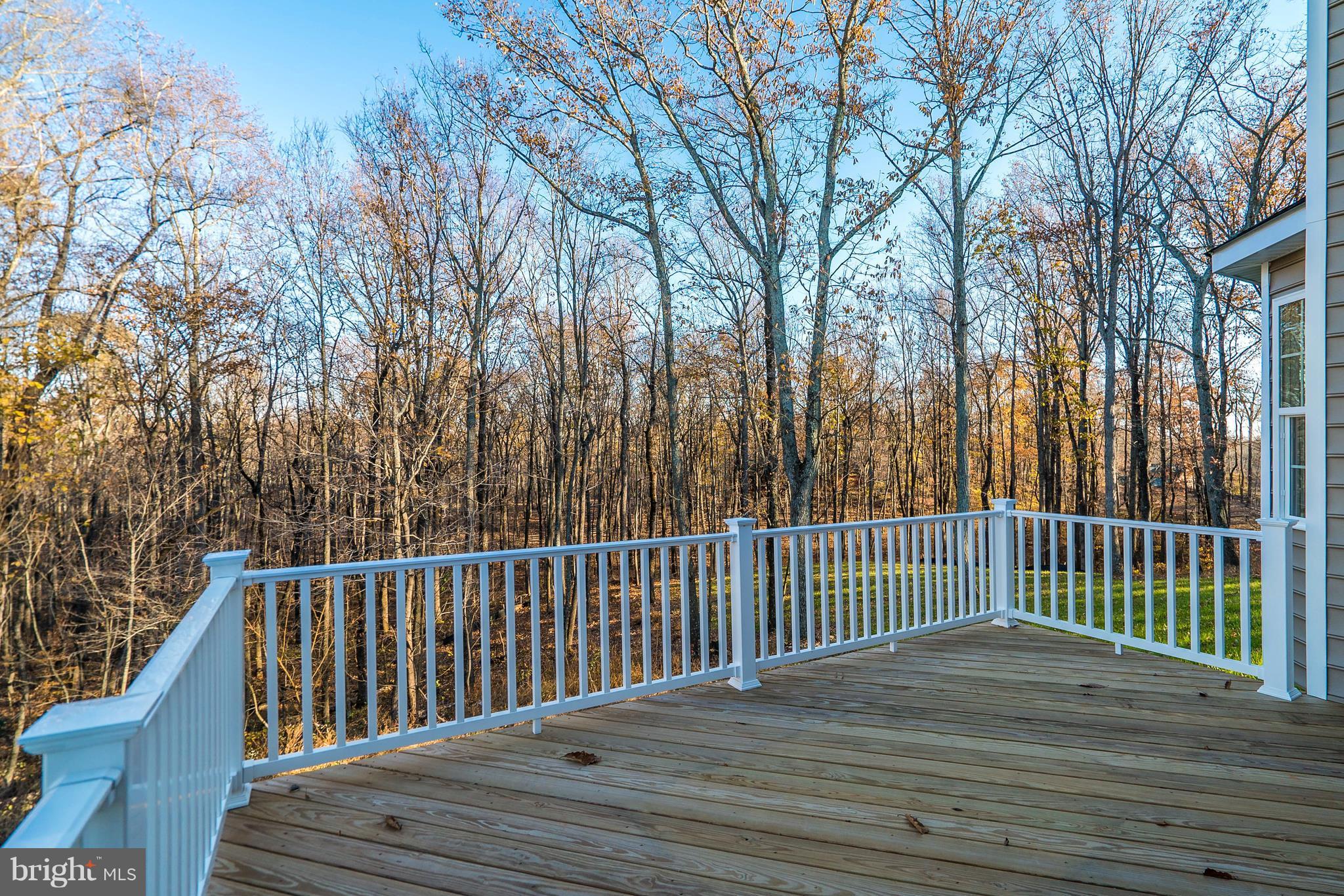 10527 Bears Den Road Marshall, VA 20115 - Photo 29 of 30 Exterior (Rear)