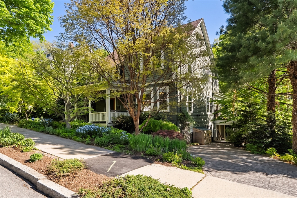 50 Norfolk Road Arlington, MA 02476 - Photo 1 of 42 Gallery Image 1