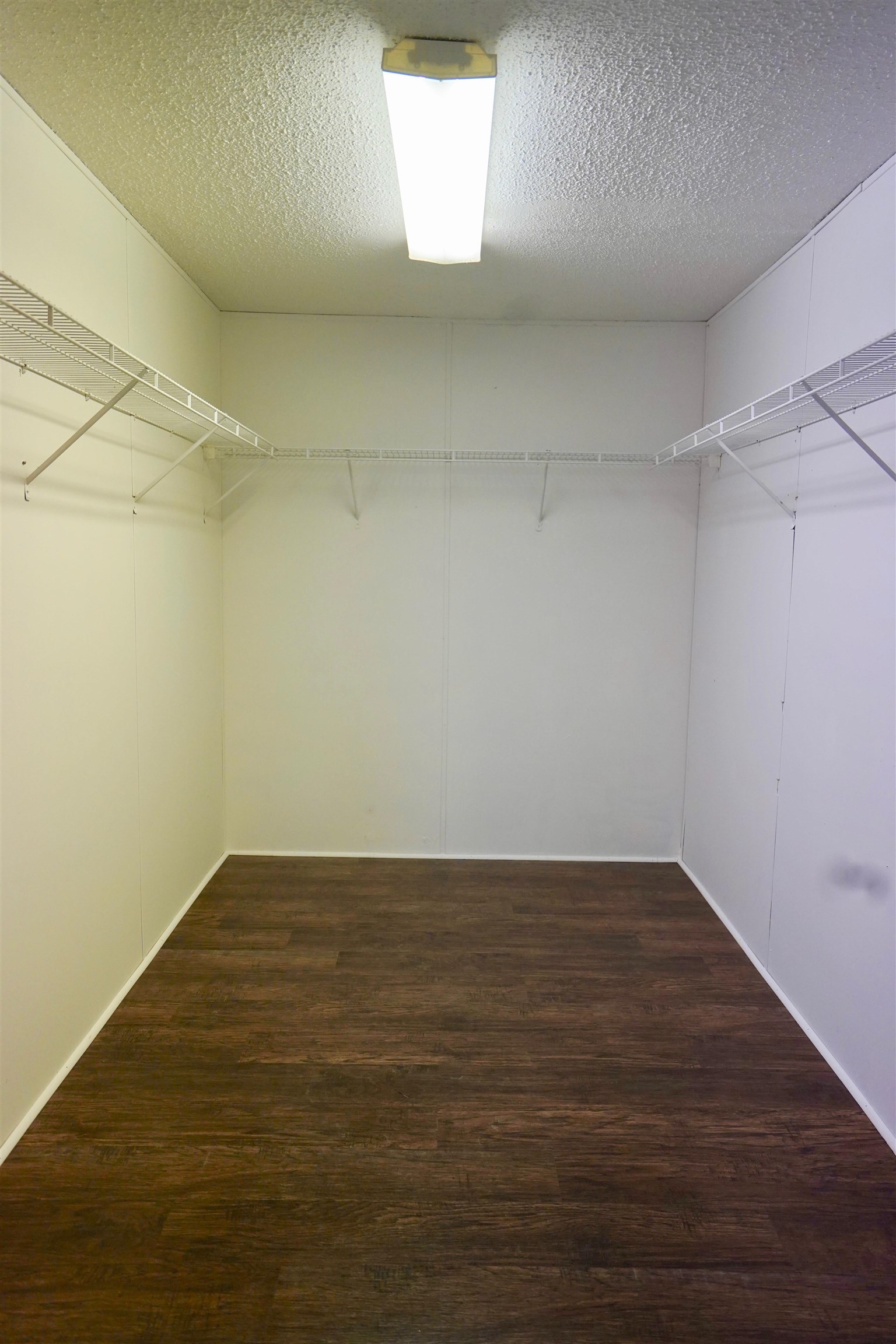 268 Adkins Road Burlison, TN 38015 - Photo 11 of 15 primary bedroom has large walk in closet
