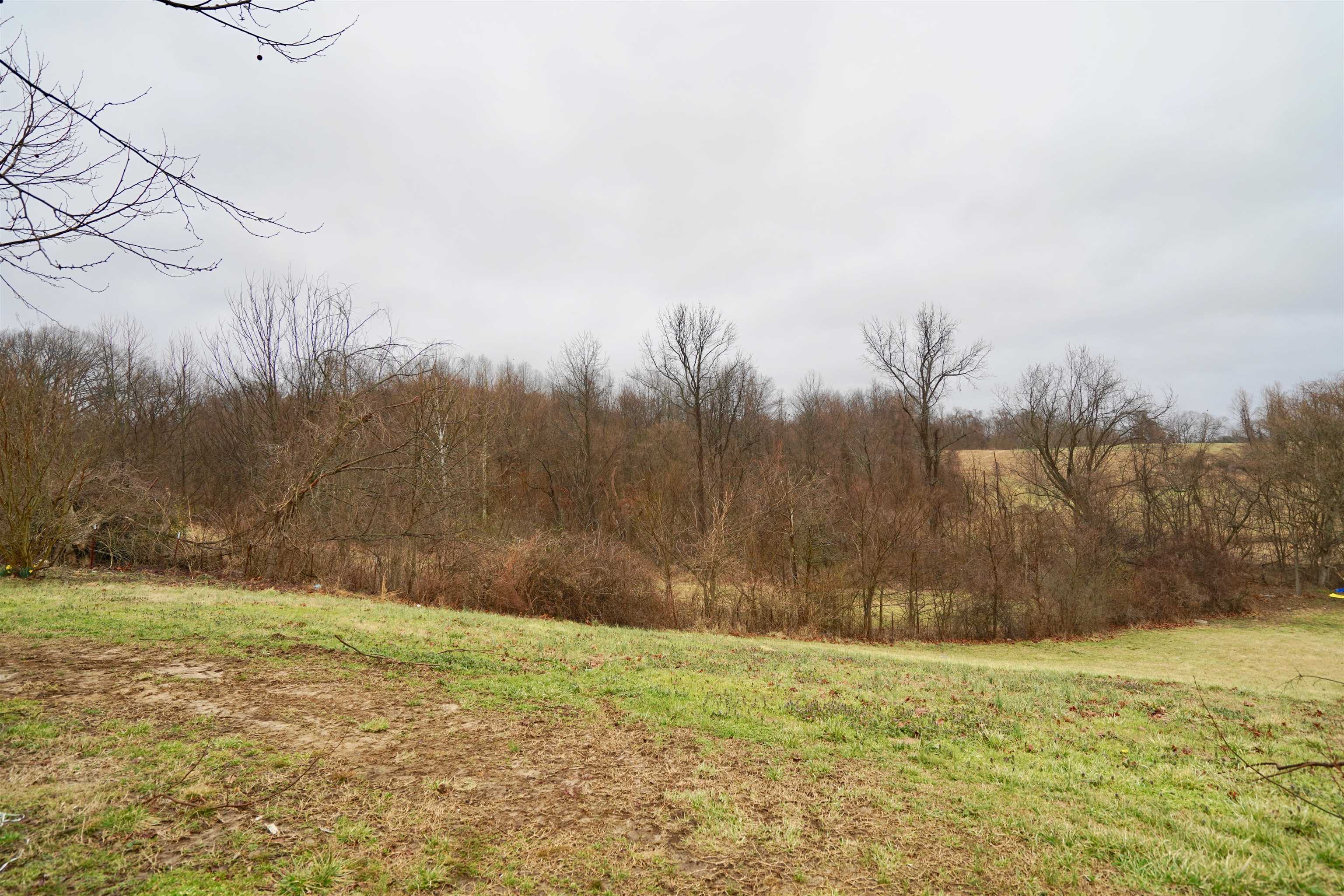 268 Adkins Road Burlison, TN 38015 - Photo 15 of 15 Gallery Image 15