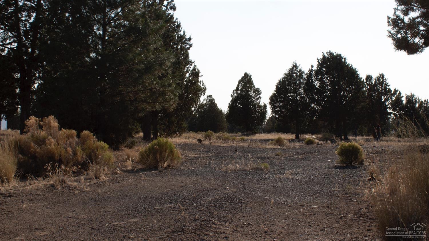 0 Southeast Falcon Ridge Road Prineville, OR 97754 - Photo 4 of 12 Additional Photo