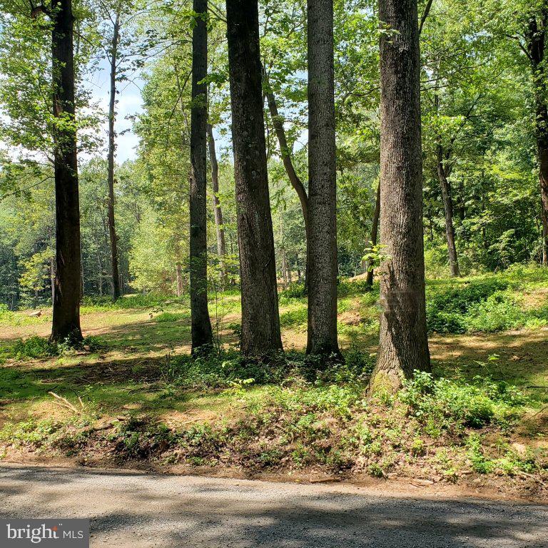 10102 Old Ashville Road Delaplane, VA 20144 - Photo 4 of 6 a view of a garden
