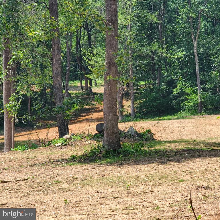 10102 Old Ashville Road Delaplane, VA 20144 - Photo 5 of 6 a view of a yard with plants and trees