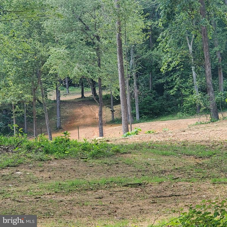 10102 Old Ashville Road Delaplane, VA 20144 - Photo 6 of 6 a view of a yard with a tree