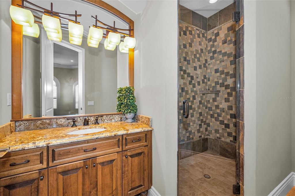 10031 Milano Drive Trinity, FL 34655 - Photo 67 of 100