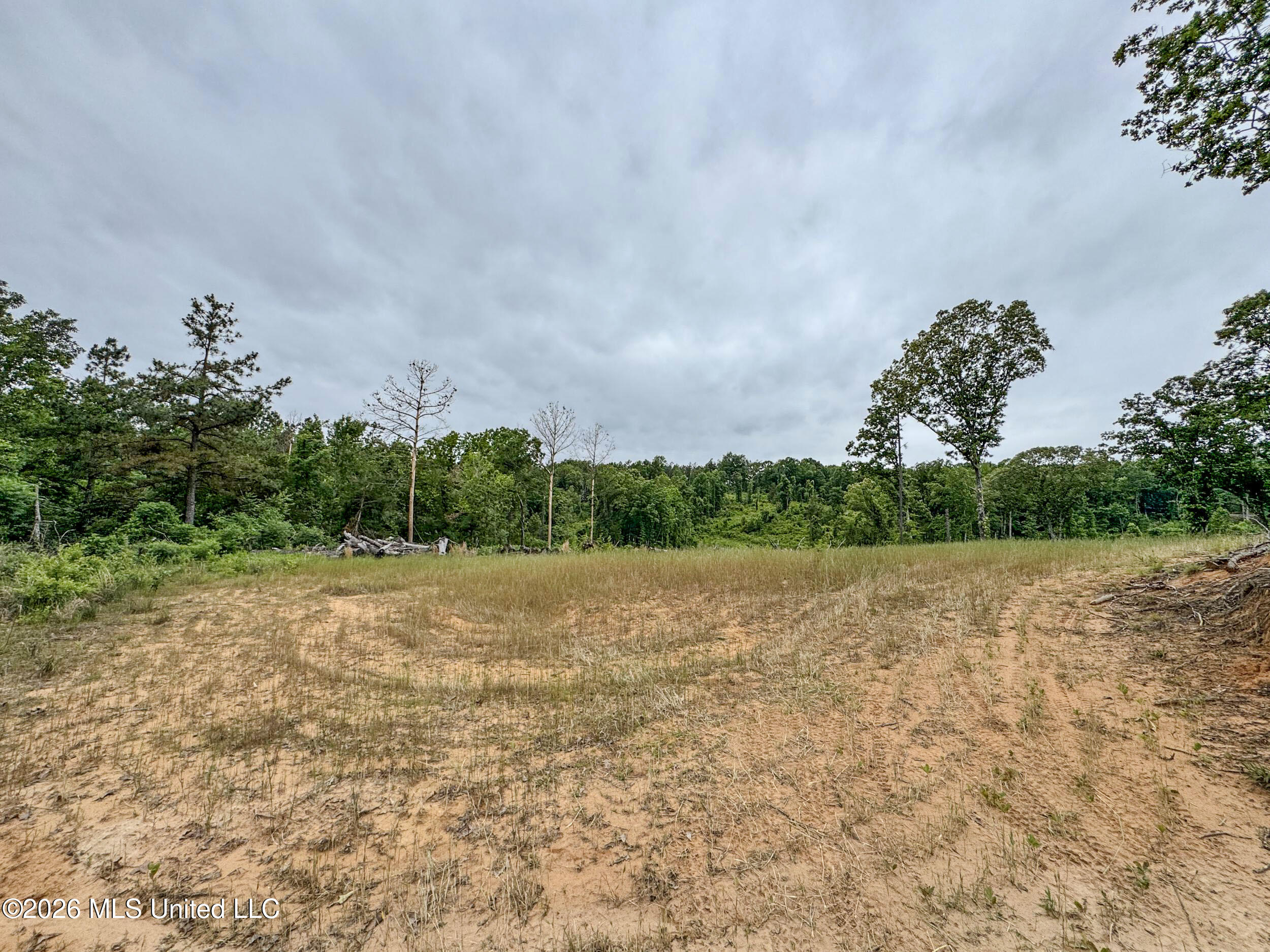 Wayne Massie Road Como, MS 38619 - Photo 137 of 184 5cdtbs79