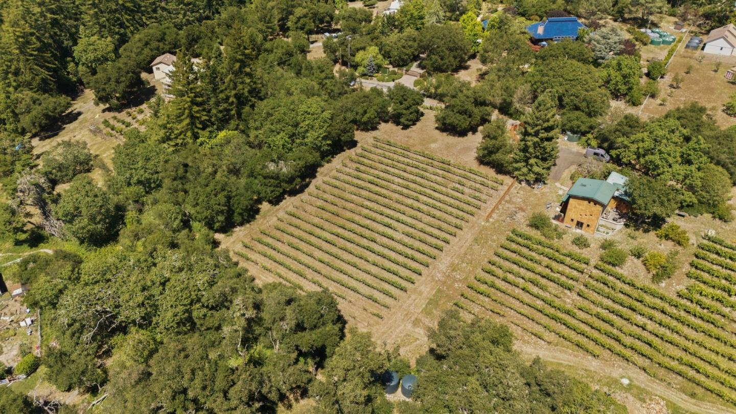 0 Miller Hill Road Los Gatos, CA 95033 - Photo 22 of 32 a view of a yard