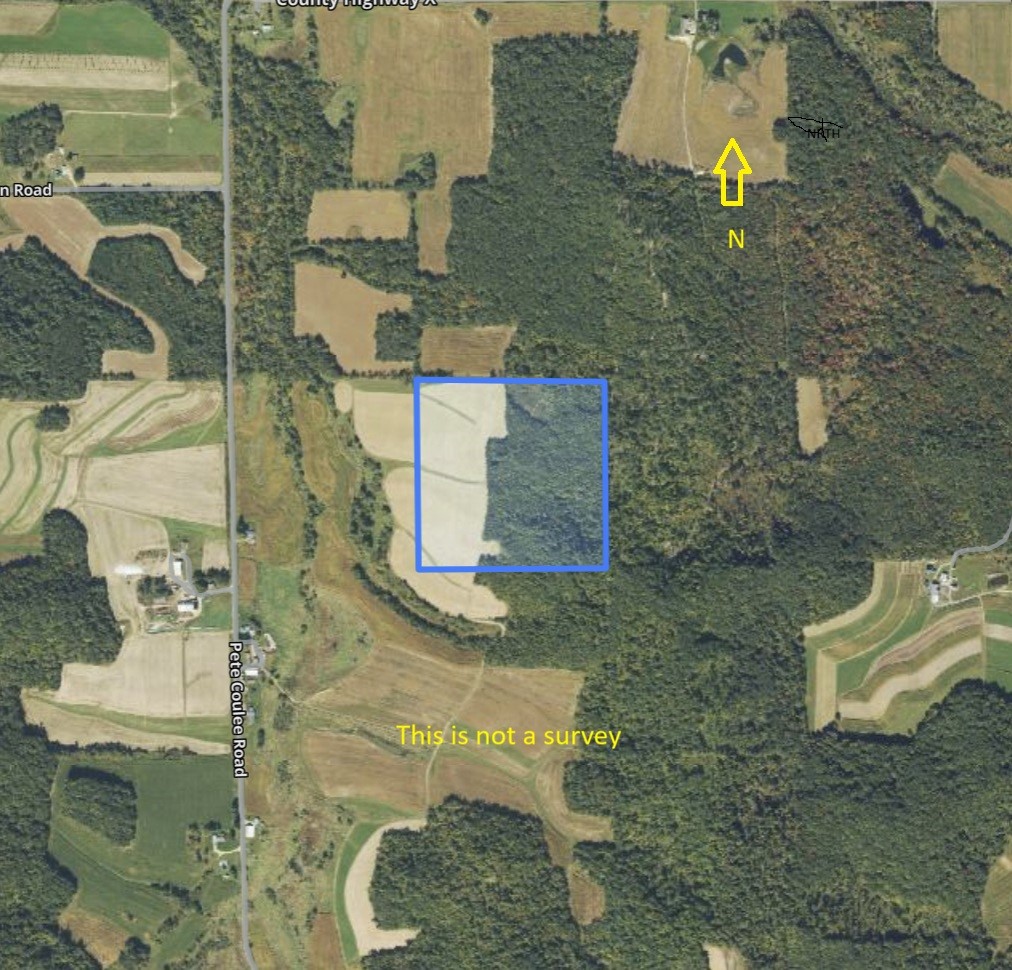 0 Pete Coulee Road Taylor, WI 54659 - Photo 6 of 49
