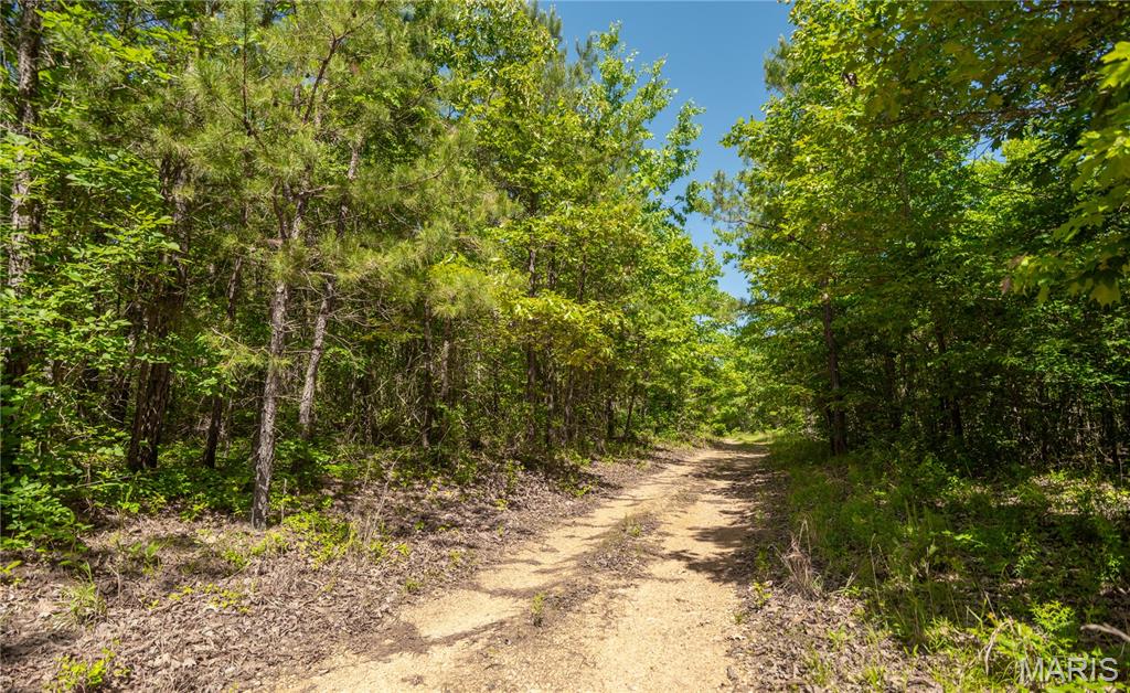 1743 Ripley Route North Doniphan, MO 63935 - Photo 84 of 97