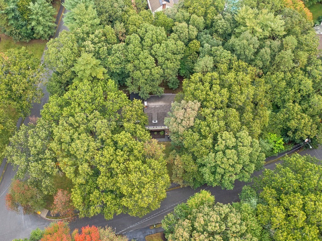 3 Michael Terrace Natick, MA 01760 - Photo 16 of 17