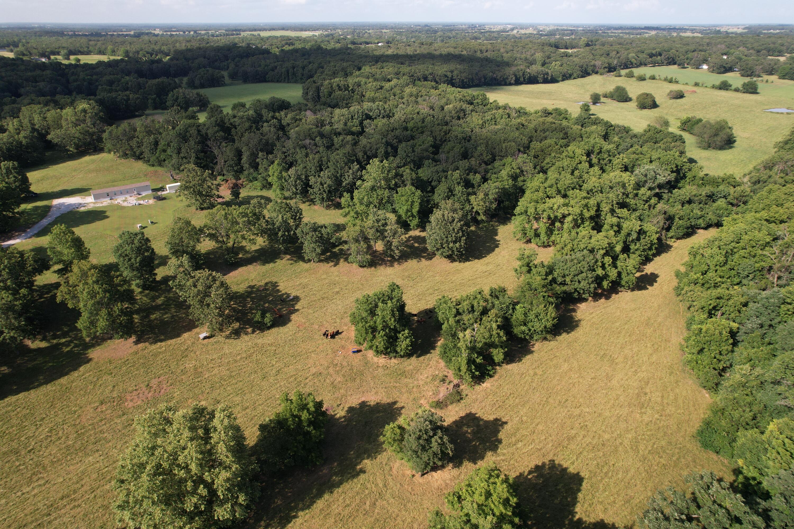 6731 Raccoon Road Pierce City, MO 65723 - Photo 1 of 99 DJI_0293