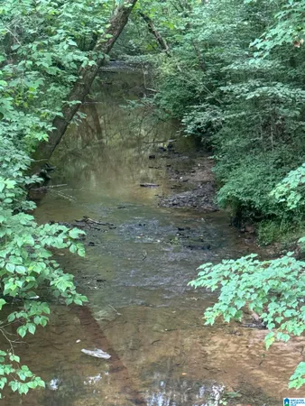 $99,900 | 144 Highway 144, Unit 17 ACRES, Odenville, AL 35120