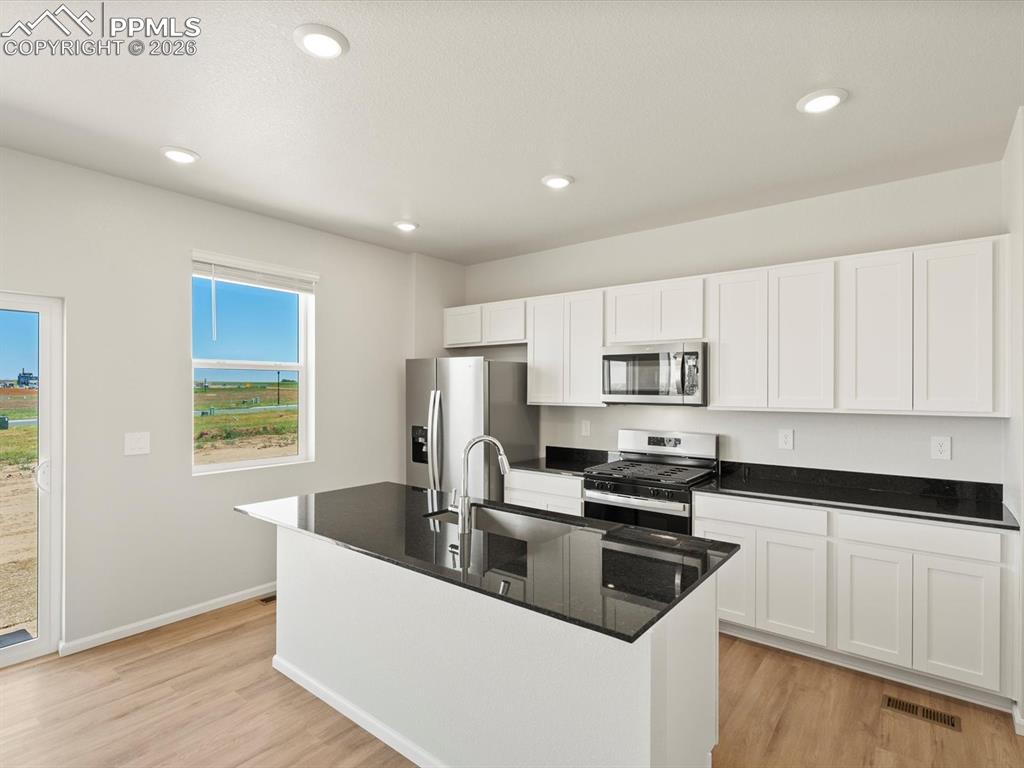 6778 Roundtail Way Colorado Springs, CO 80925 - Photo 3 of 17