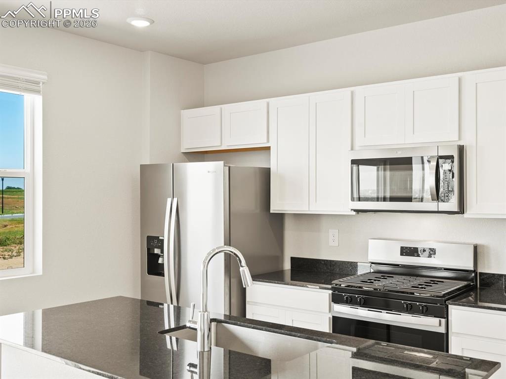 6778 Roundtail Way Colorado Springs, CO 80925 - Photo 4 of 17