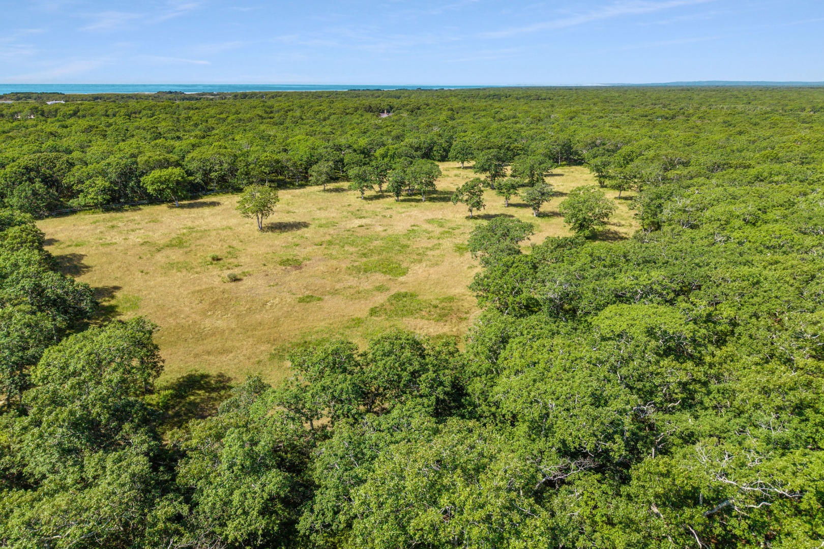 3 Jacob's Neck Road Edgartown, MA 02539 - Photo 5 of 14 a view of yard with ocean view