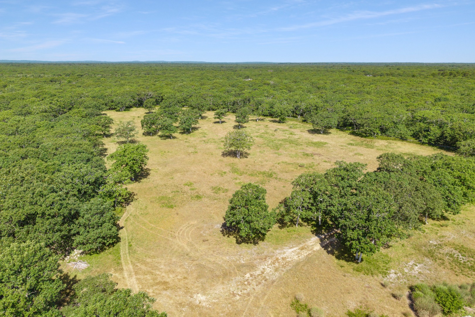 3 Jacob's Neck Road Edgartown, MA 02539 - Photo 6 of 14 a view of an ocean beach and a yard
