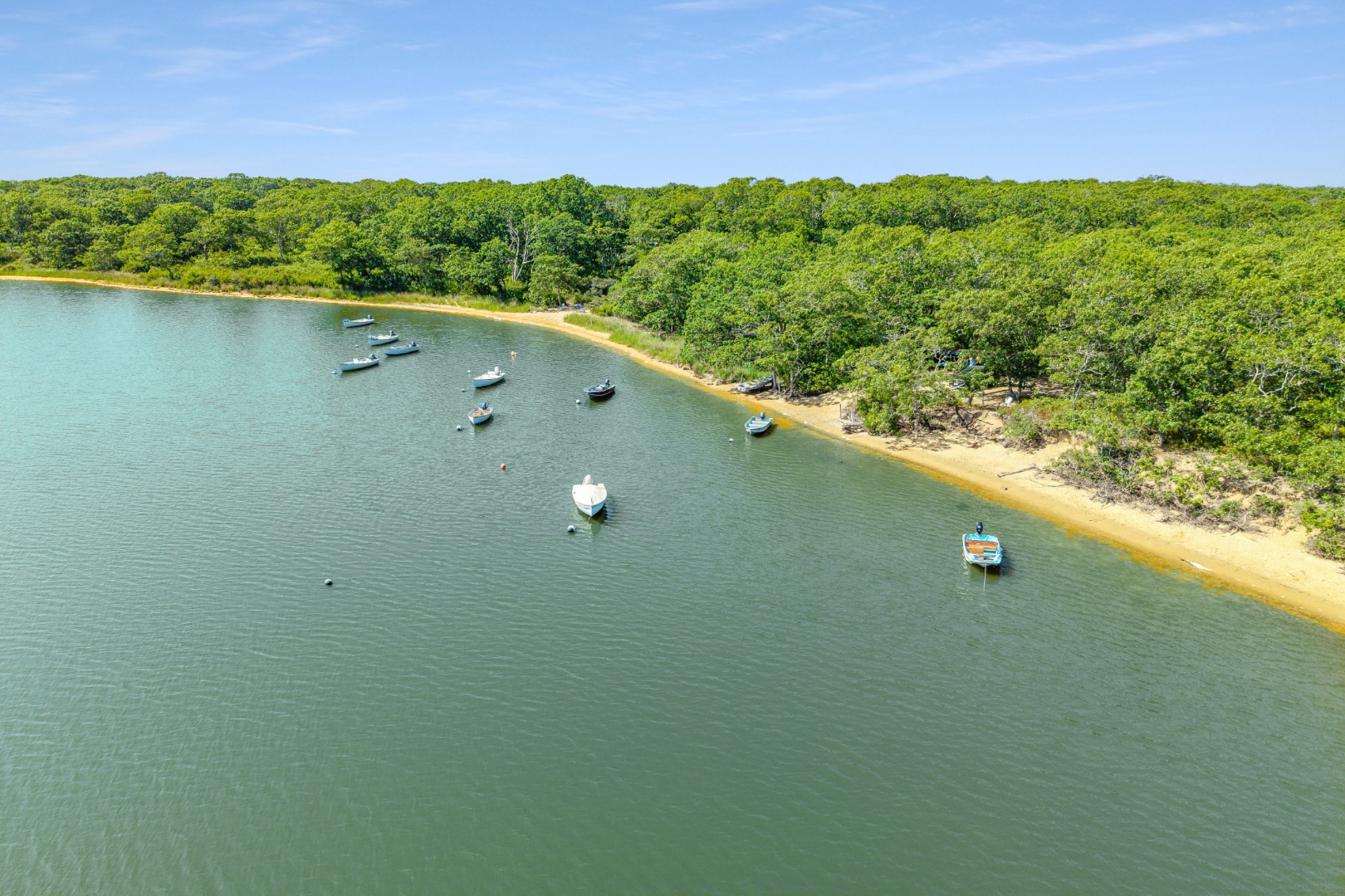 3 Jacob's Neck Road Edgartown, MA 02539 - Photo 8 of 14 a view of a forest from a window