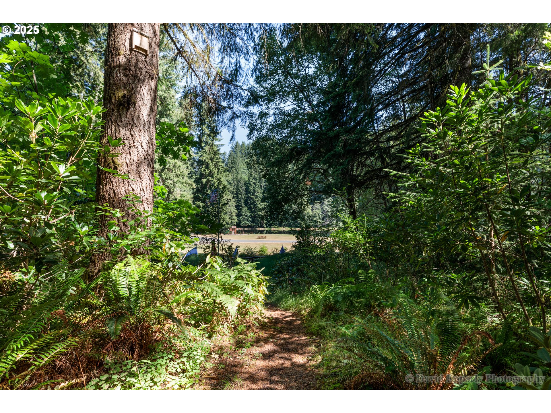 9929 Beach Drive Birkenfeld, OR 97016 - Photo 15 of 33
