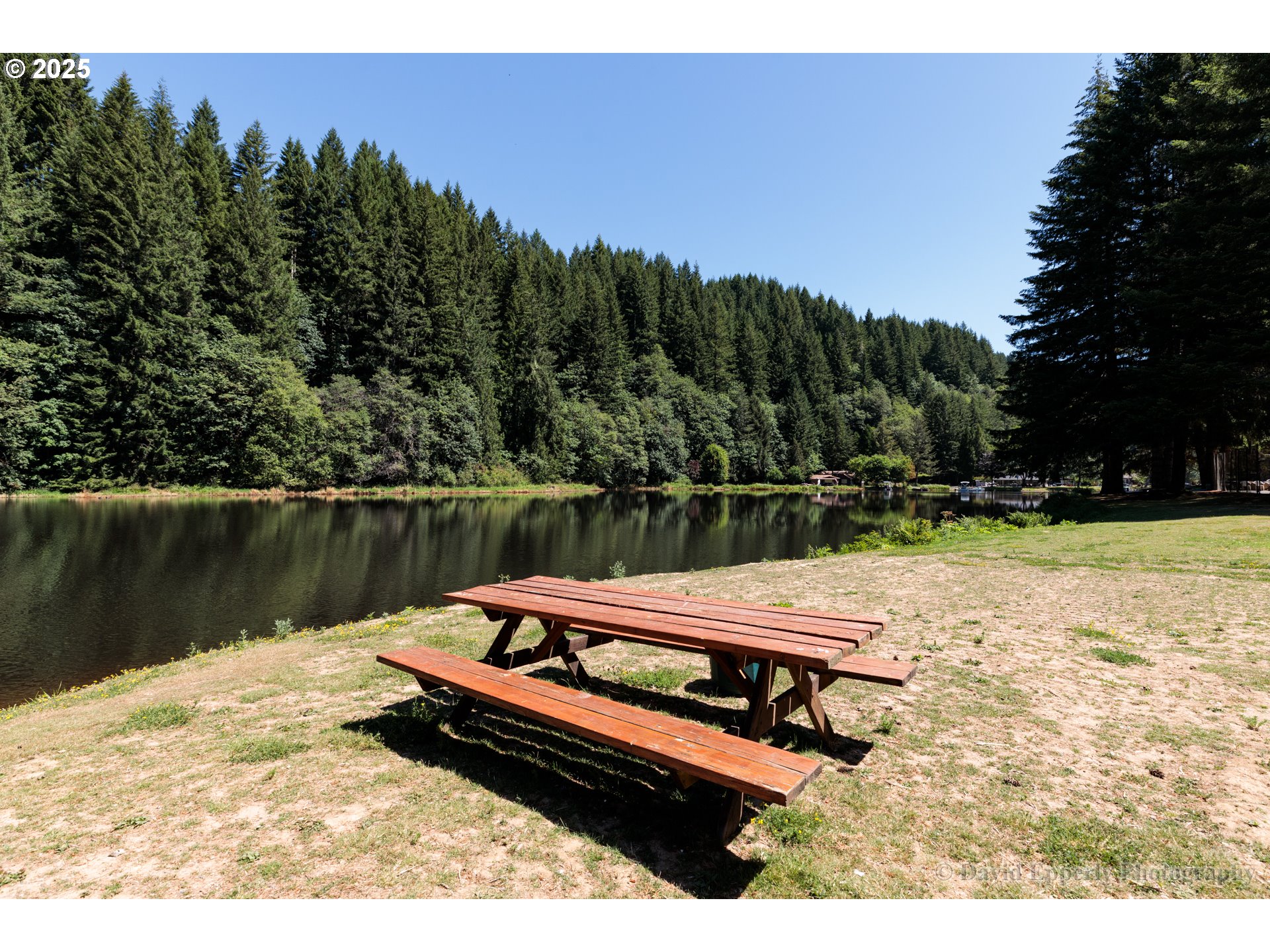 9929 Beach Drive Birkenfeld, OR 97016 - Photo 27 of 33 Community Park