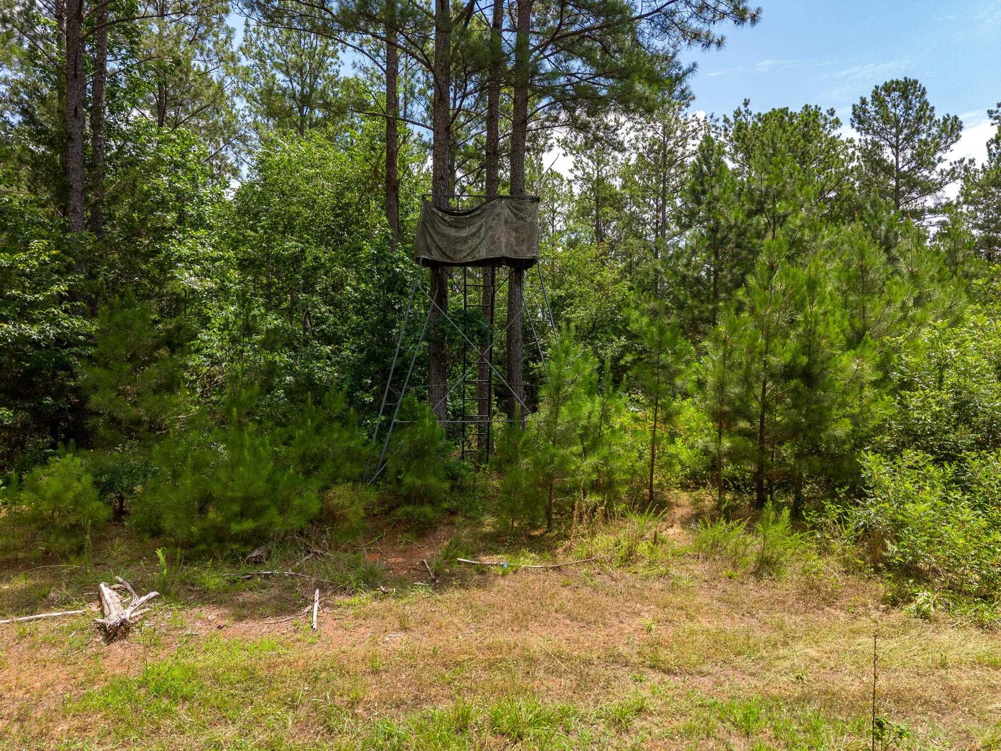 1 Quail Hollow Road Sharon, SC 29742 - Photo 18 of 27