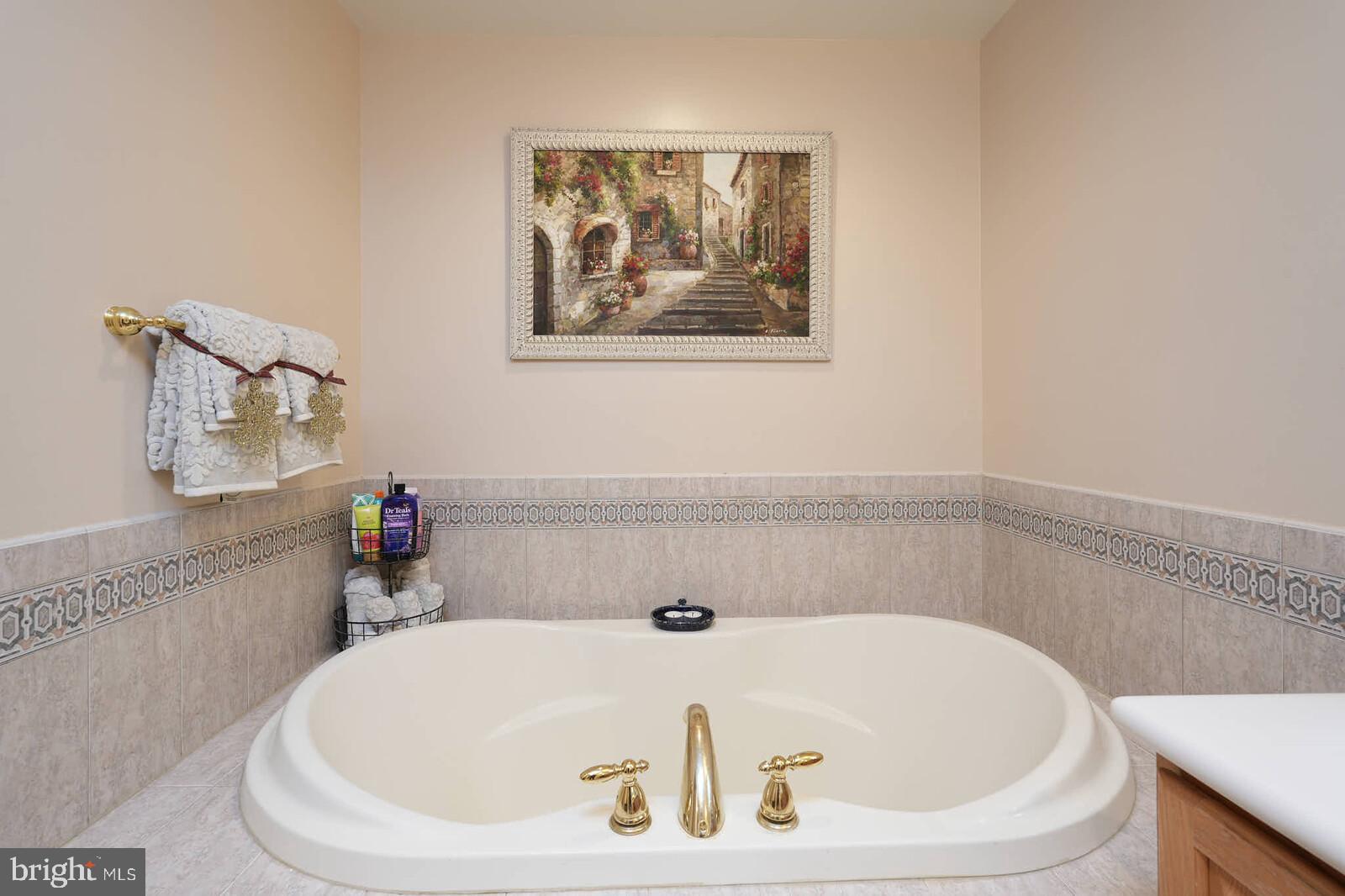 8733 Boulder Ridge Road Laurel, MD 20723 - Photo 26 of 42 Master Bed Room Full Bath