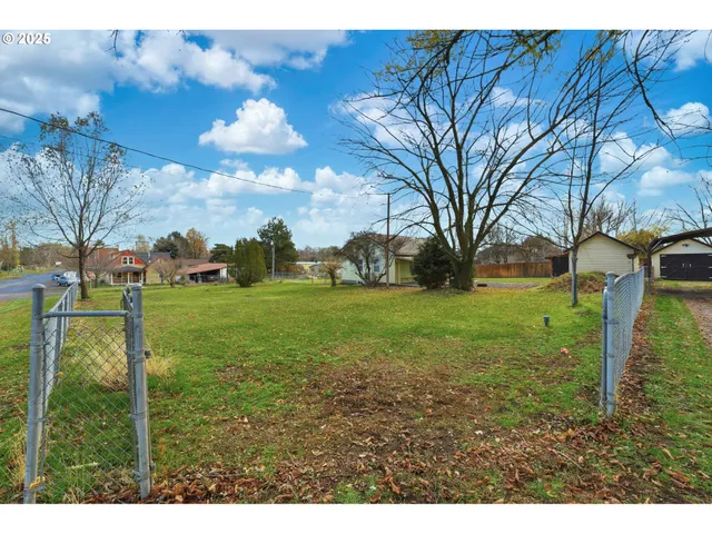 a view of yard with green space