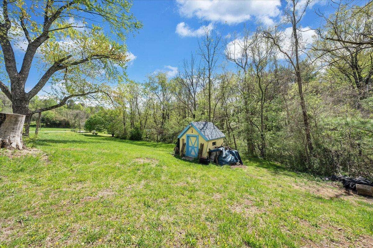5265 Blue Ridge Boulevard Blue Ridge, VA 24064 - Photo 30 of 40 a view of a trees
