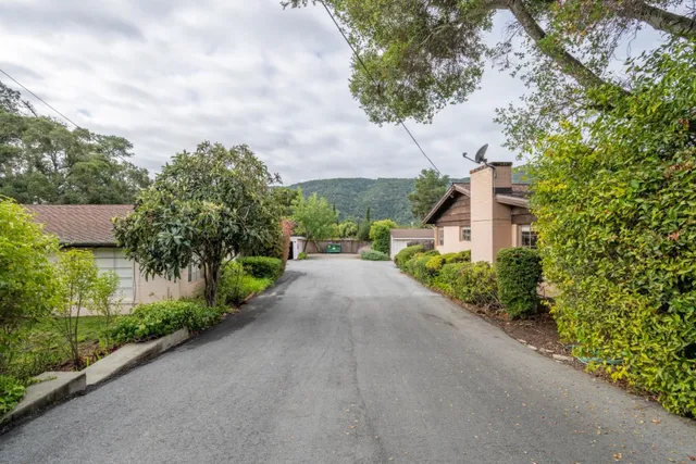 a view of a garden with pathway