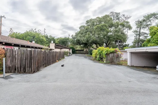 a view of a backyard