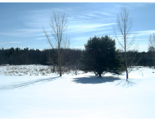 4 Plains Road Ipswich, MA 01938 - Photo 4 of 17 a view of backyard of a house
