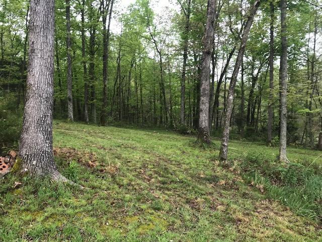 170 Nature Valley Road Somerset, KY 42501 - Photo 9 of 22 IMG_2485