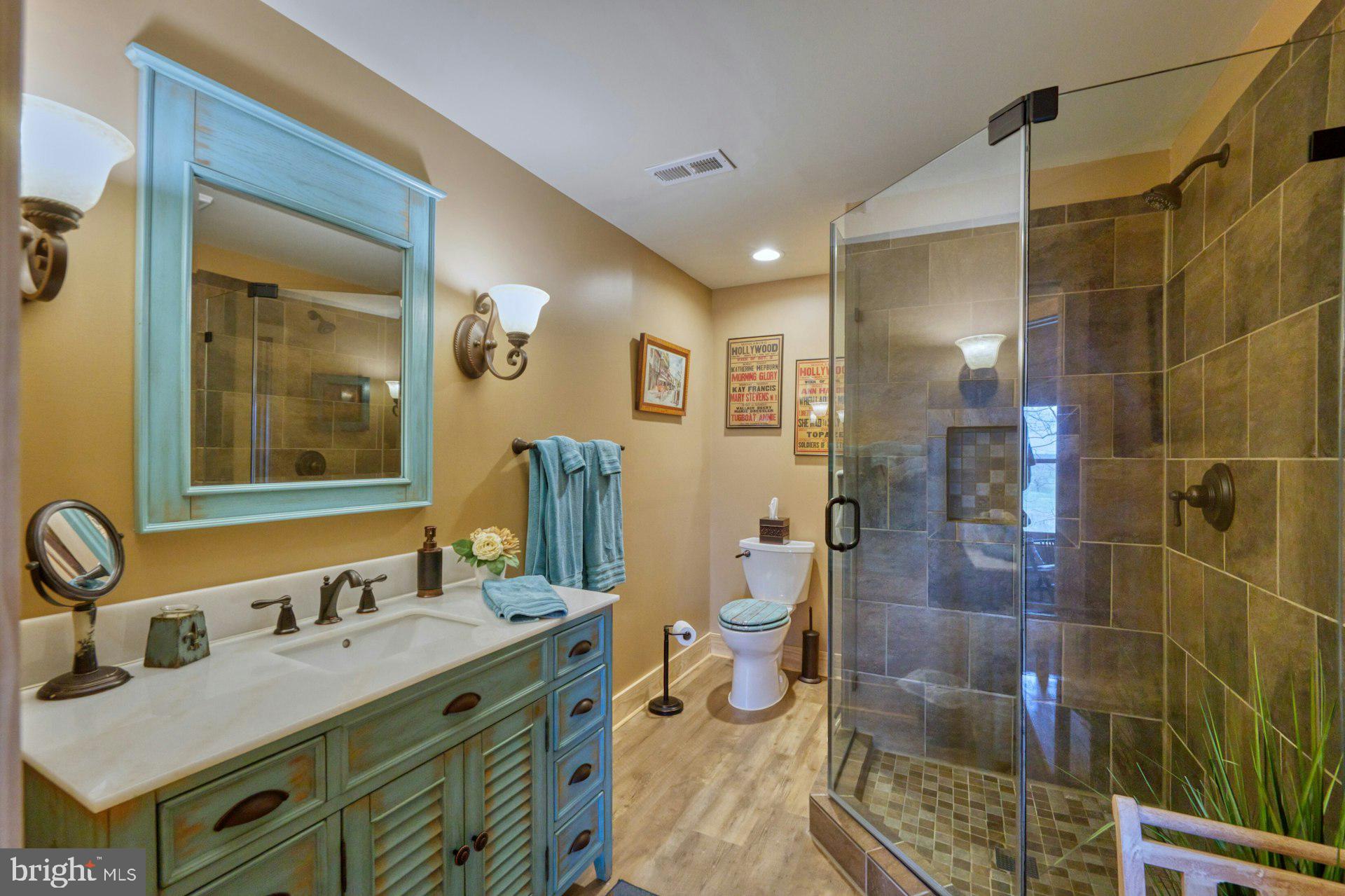 84 Cardinal Lane Boyce, VA 22620 - Photo 46 of 83 Full bathroom on lower level