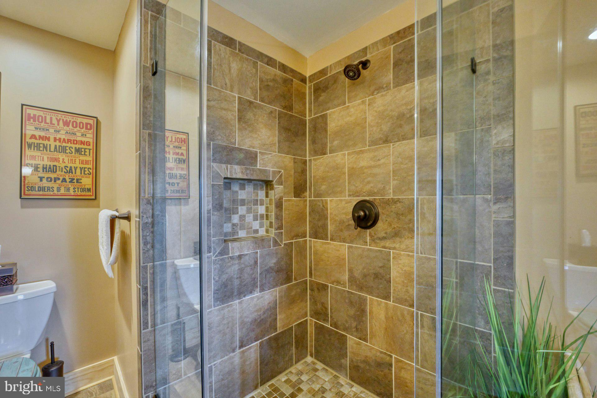 84 Cardinal Lane Boyce, VA 22620 - Photo 47 of 83 Custom shower tile