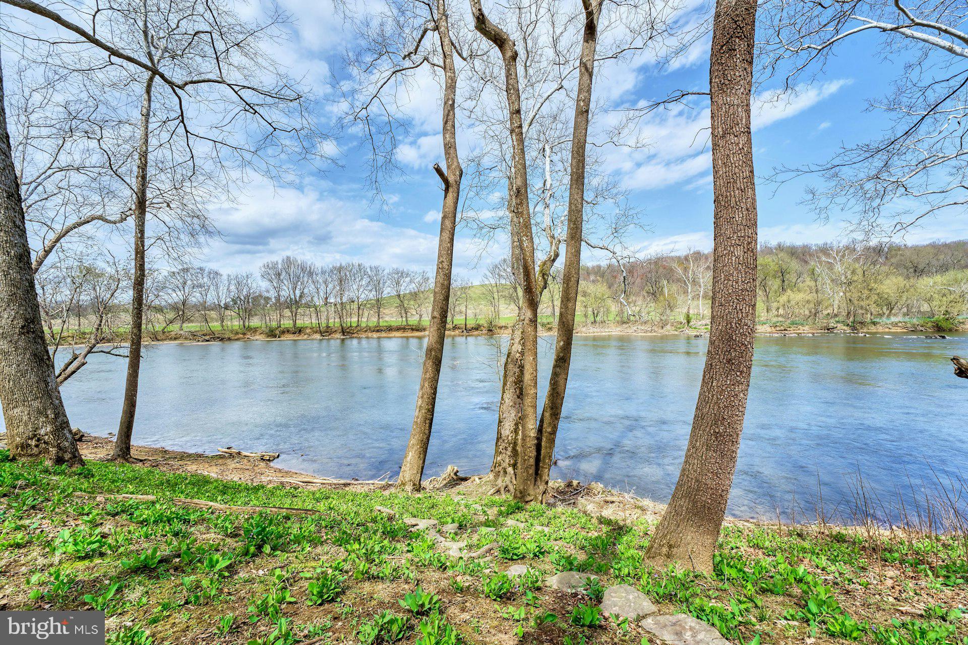 84 Cardinal Lane Boyce, VA 22620 - Photo 73 of 83 Beach frontage on the river