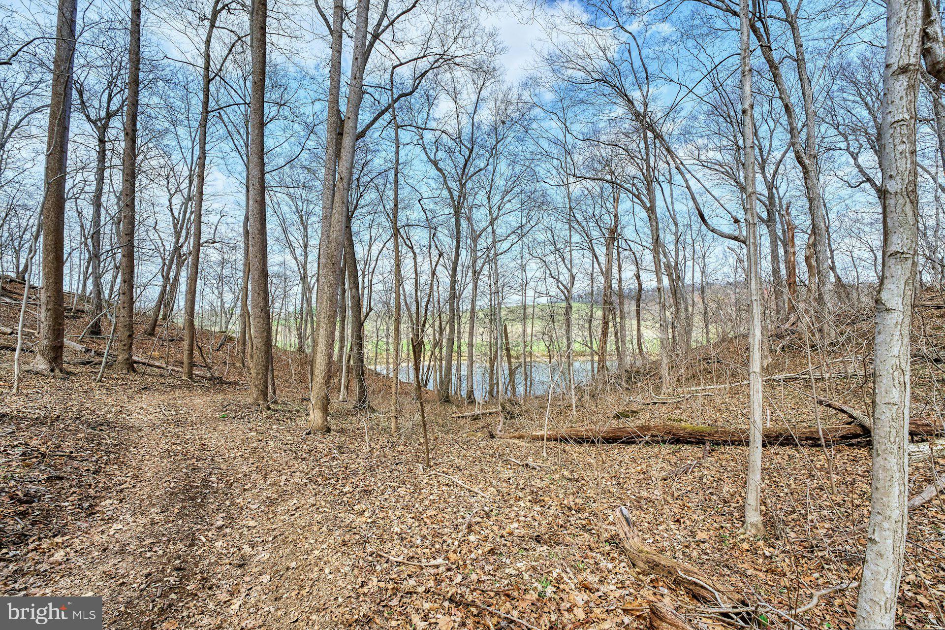 84 Cardinal Lane Boyce, VA 22620 - Photo 78 of 83 Trail to the river