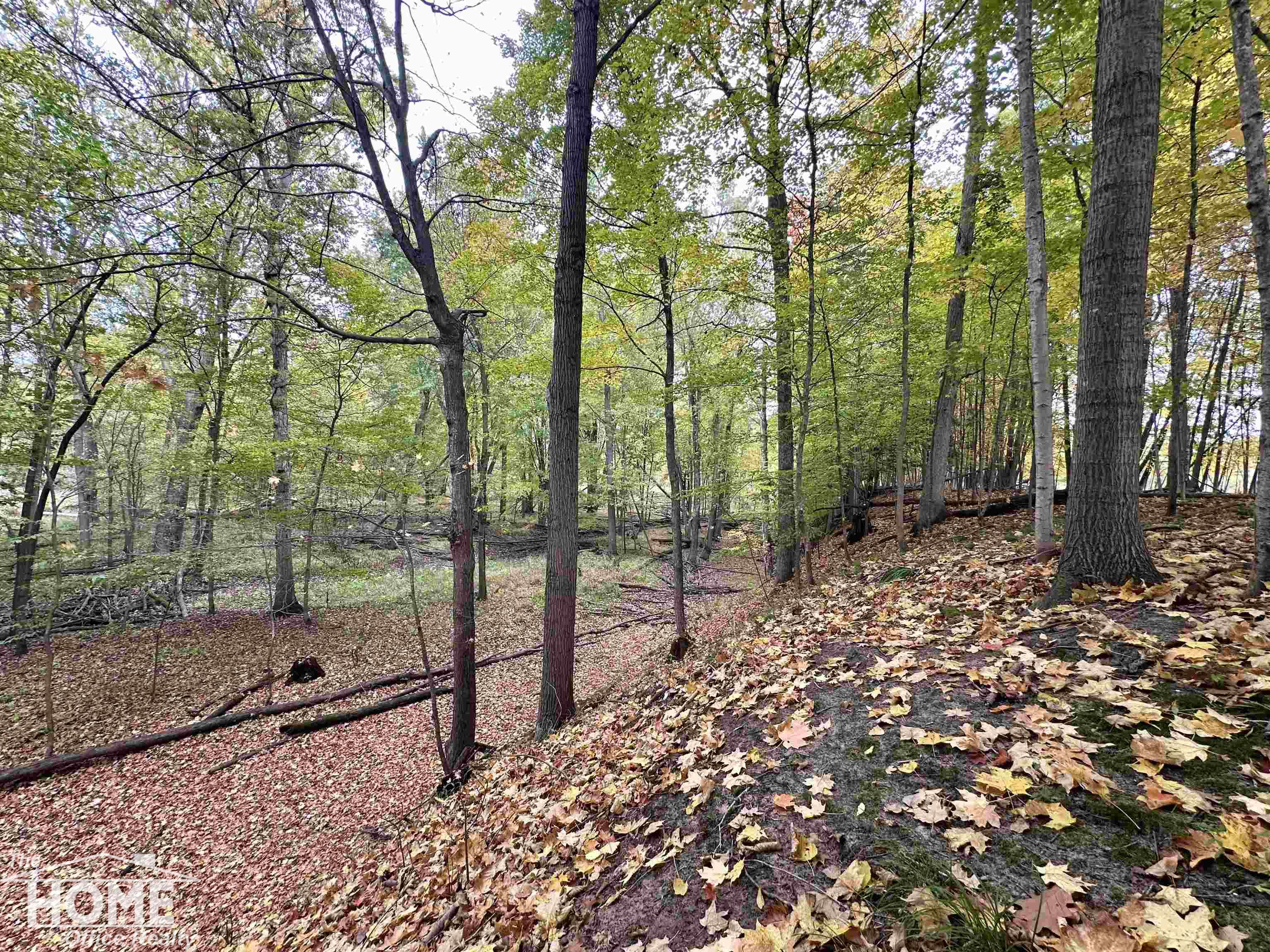 0 Colvin Road St. Charles, MI 48655 - Photo 11 of 23