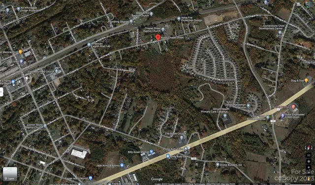 a view of a bunch of trees and bushes