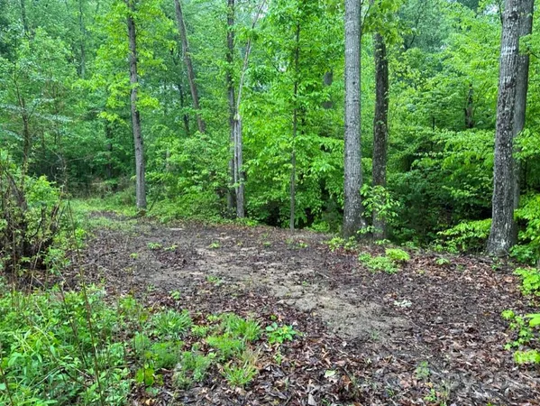 a big yard with lots of green space and deers