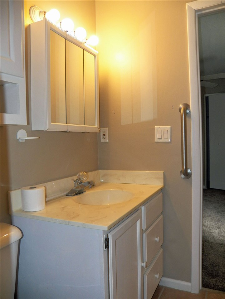 2325 Forest View Road Rockford, IL 61108 - Photo 15 of 17 a bathroom with a sink and a vanity